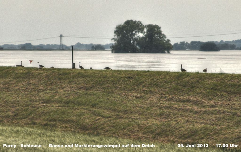 Hochwasser- 2013_06_09-018-Parey-Schleuse.jpg